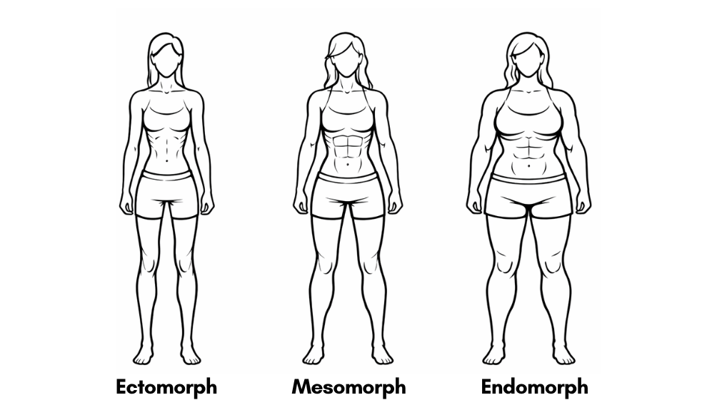 Female body types: ectomorph, mesomorph, endomorph